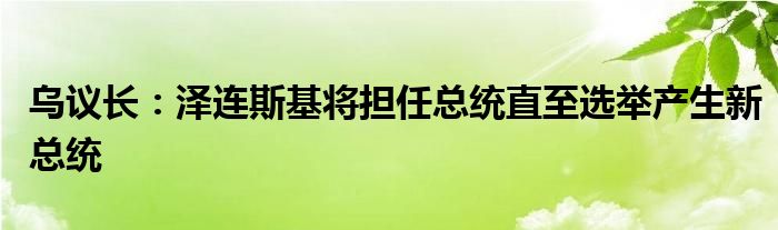 乌议长：泽连斯基将担任总统直至选举产生新总统