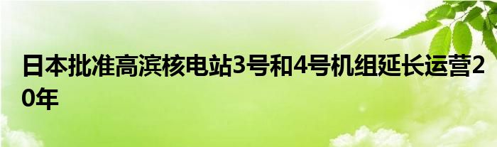 日本批准高滨核电站3号和4号机组延长运营20年