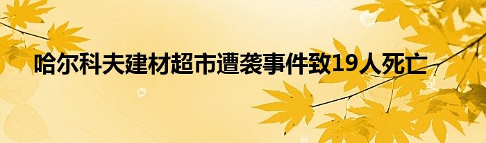 哈尔科夫建材超市遭袭事件致19人死亡