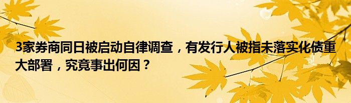 3家券商同日被启动自律调查，有发行人被指未落实化债重大部署，究竟事出何因？