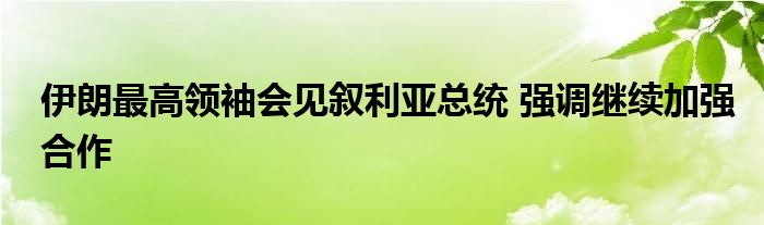 伊朗最高领袖会见叙利亚总统 强调继续加强合作