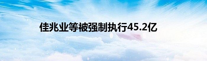 佳兆业等被强制执行45.2亿