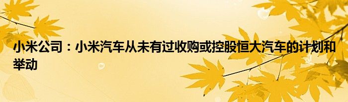 小米公司：小米汽车从未有过收购或控股恒大汽车的计划和举动