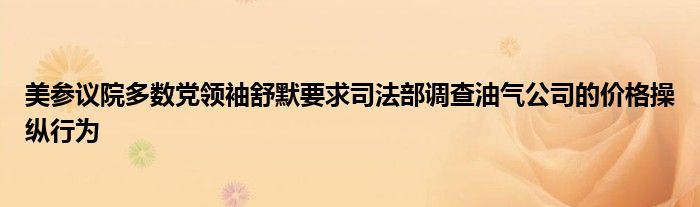 美参议院多数党领袖舒默要求司法部调查油气公司的价格操纵行为