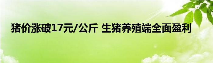 猪价涨破17元/公斤 生猪养殖端全面盈利