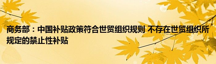 商务部：中国补贴政策符合世贸组织规则 不存在世贸组织所规定的禁止性补贴