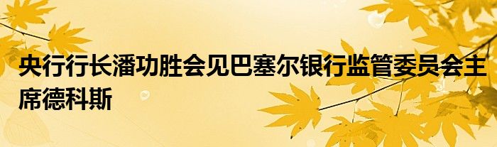 央行行长潘功胜会见巴塞尔银行监管委员会主席德科斯