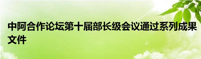 中阿合作论坛第十届部长级会议通过系列成果文件