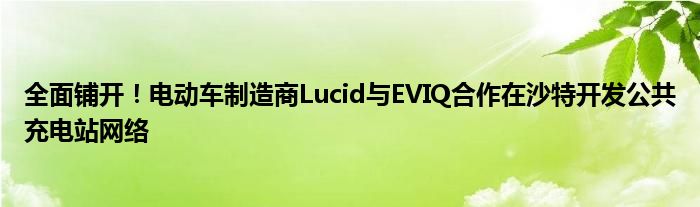 全面铺开！电动车制造商Lucid与EVIQ合作在沙特开发公共充电站网络