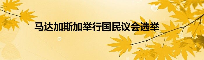 马达加斯加举行国民议会选举