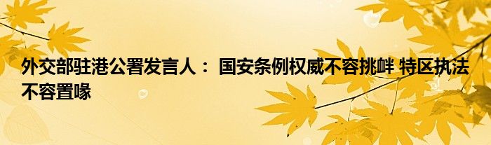 外交部驻港公署发言人： 国安条例权威不容挑衅 特区执法不容置喙