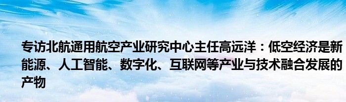 专访北航通用航空产业研究中心主任高远洋：低空经济是新能源、人工智能、数字化、
等产业与技术融合发展的产物