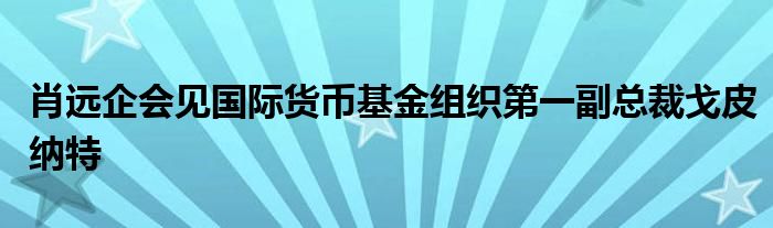 肖远企会见国际货币基金组织第一副总裁戈皮纳特