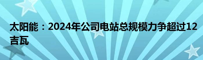 太阳能：2024年公司电站总规模力争超过12吉瓦