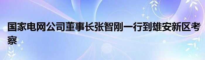 国家电网公司董事长张智刚一行到雄安新区考察