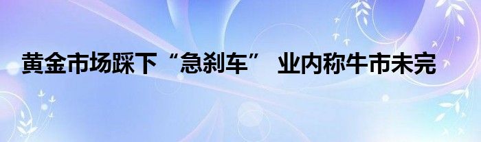 黄金市场踩下“急刹车” 业内称牛市未完