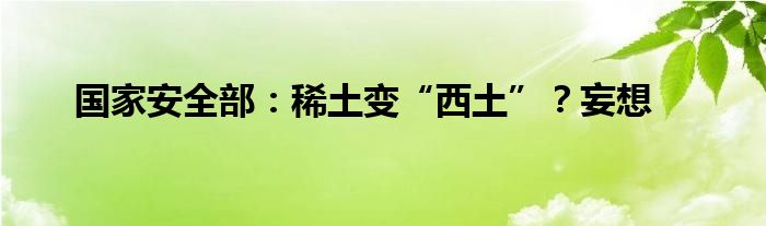 国家安全部：稀土变“西土”？妄想