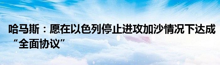 哈马斯：愿在以色列停止进攻加沙情况下达成“全面协议”