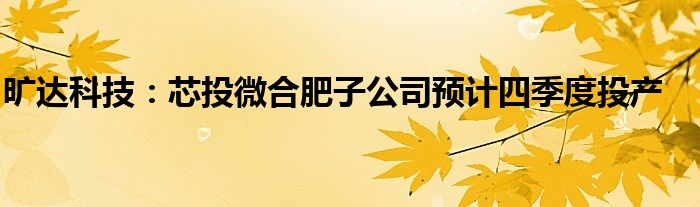 旷达科技：芯投微合肥子公司预计四季度投产