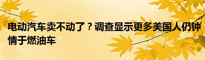 电动汽车卖不动了？调查显示更多美国人仍钟情于燃油车