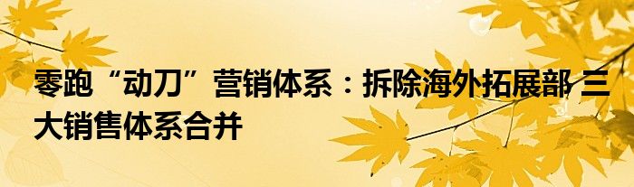 零跑“动刀”营销体系：拆除海外拓展部 三大销售体系合并