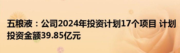 五粮液：公司2024年投资计划17个项目 计划投资金额39.85亿元