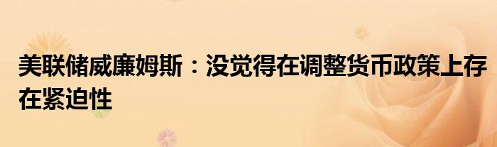 美联储威廉姆斯：没觉得在调整货币政策上存在紧迫性