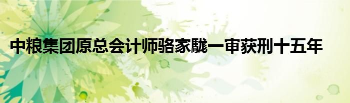 中粮集团原总会计师骆家駹一审获刑十五年