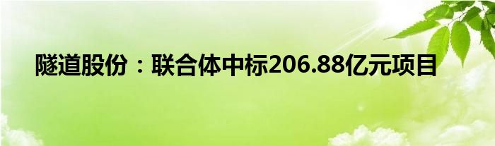 隧道股份：联合体中标206.88亿元项目