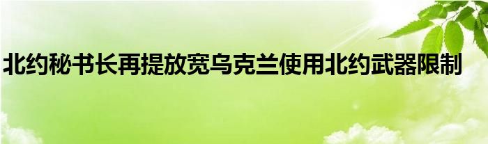 北约秘书长再提放宽乌克兰使用北约武器限制