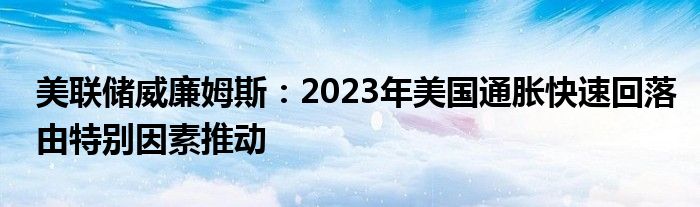 美联储威廉姆斯：2023年美国通胀快速回落由特别因素推动