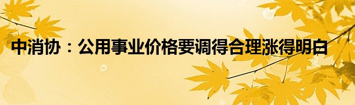 中消协：公用事业价格要调得合理涨得明白