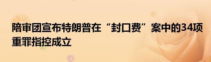 陪审团宣布特朗普在“封口费”案中的34项重罪指控成立