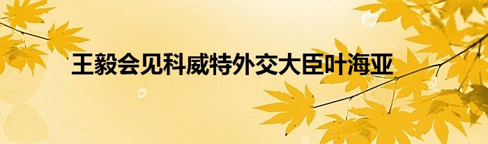 王毅会见科威特外交大臣叶海亚