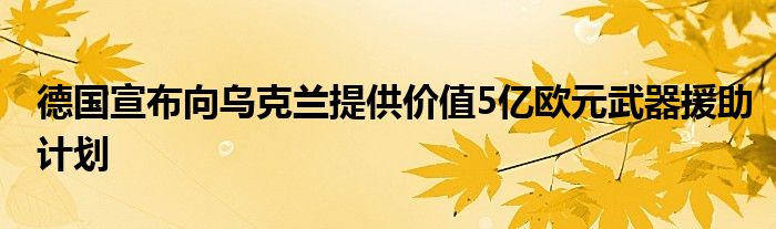 德国宣布向乌克兰提供价值5亿欧元武器援助计划