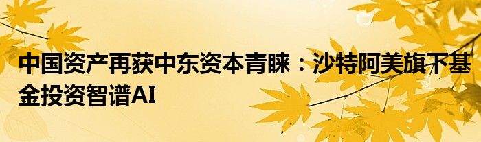 中国资产再获中东资本青睐：沙特阿美旗下基金投资智谱AI