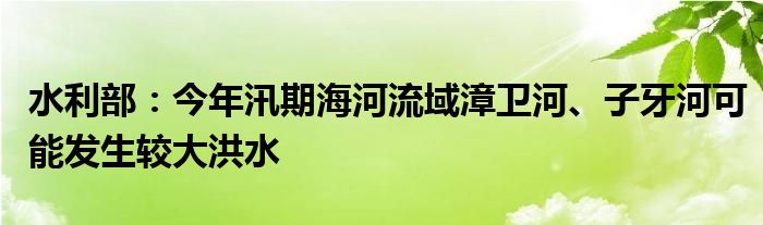 水利部：今年汛期海河流域漳卫河、子牙河可能发生较大洪水