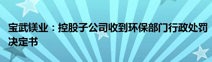 宝武镁业：控股子公司收到环保部门行政处罚决定书