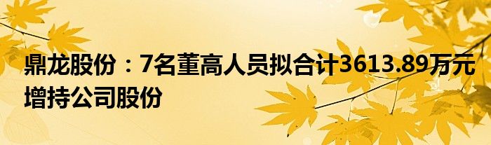 鼎龙股份：7名董高人员拟合计3613.89万元增持公司股份