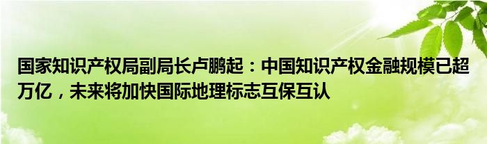 国家知识产权局副局长卢鹏起：中国知识产权
规模已超万亿，未来将加快国际地理标志互保互认