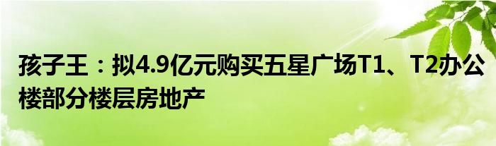 孩子王：拟4.9亿元购买五星广场T1、T2办公楼部分楼层房地产