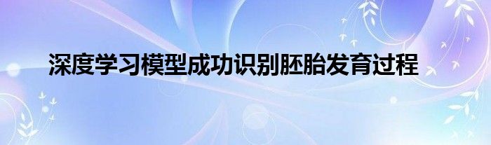 深度学习模型成功识别胚胎发育过程