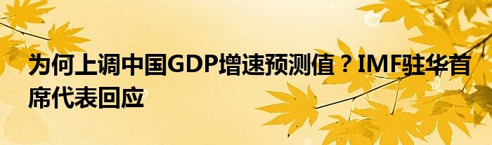 为何上调中国GDP增速预测值？IMF驻华首席代表回应