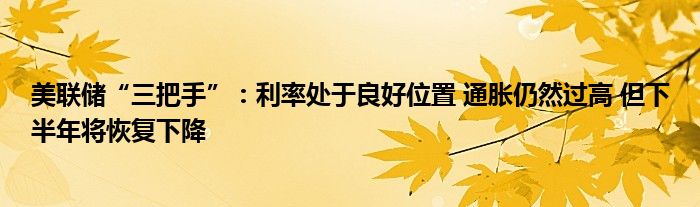 美联储“三把手”：利率处于良好位置 通胀仍然过高 但下半年将恢复下降