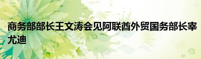 商务部部长王文涛会见阿联酋外贸国务部长宰尤迪