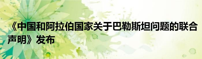 《中国和阿拉伯国家关于巴勒斯坦问题的联合声明》发布