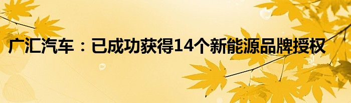 广汇汽车：已成功获得14个新能源品牌授权