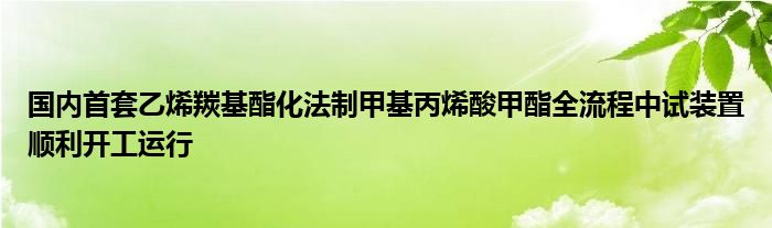 国内首套乙烯羰基酯化法制甲基丙烯酸甲酯全流程中试装置顺利开工运行