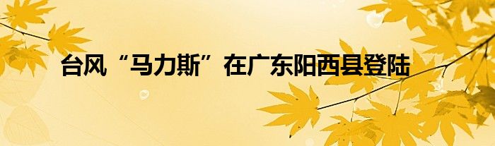 台风“马力斯”在广东阳西县登陆