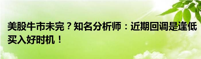 美股牛市未完？知名分析师：近期回调是逢低买入好时机！